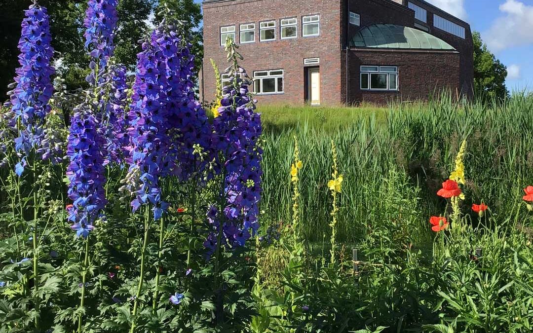 BESØG NOLDE MUSEUM SEEBÜLL