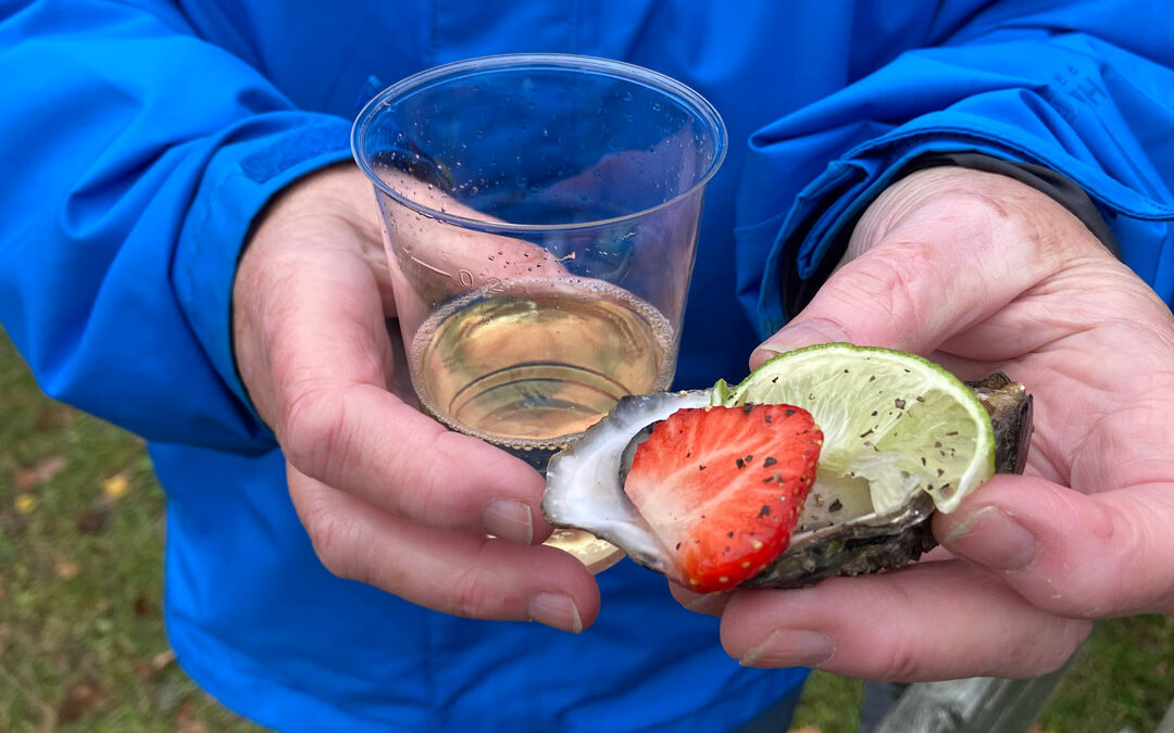 Østers Safari – original eller gourmet